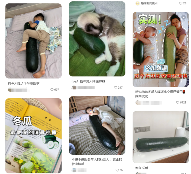 三伏天