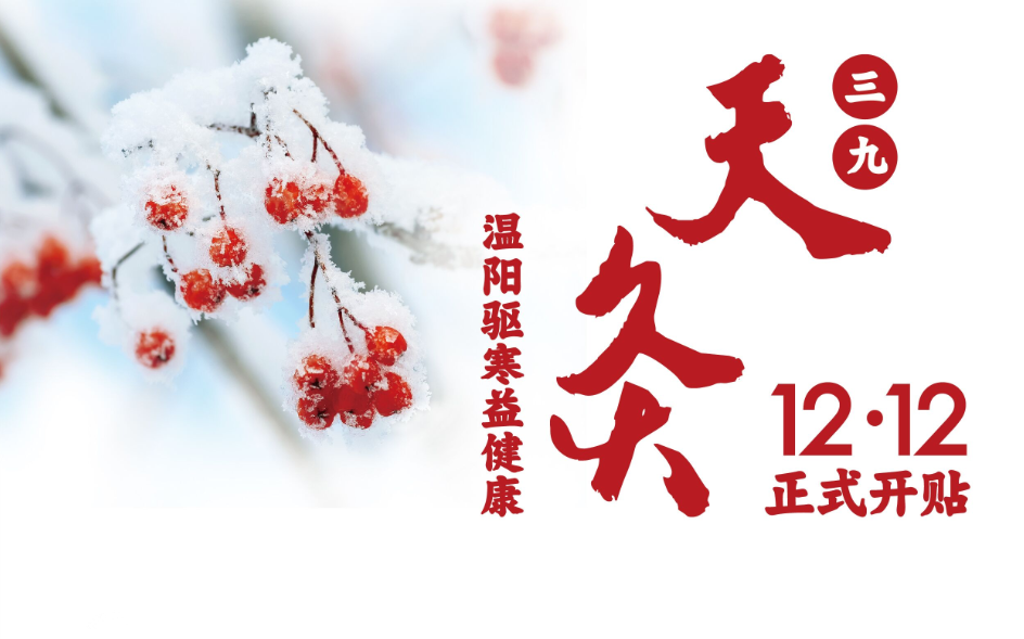 三九天灸温阳驱寒  12月12日正式开贴